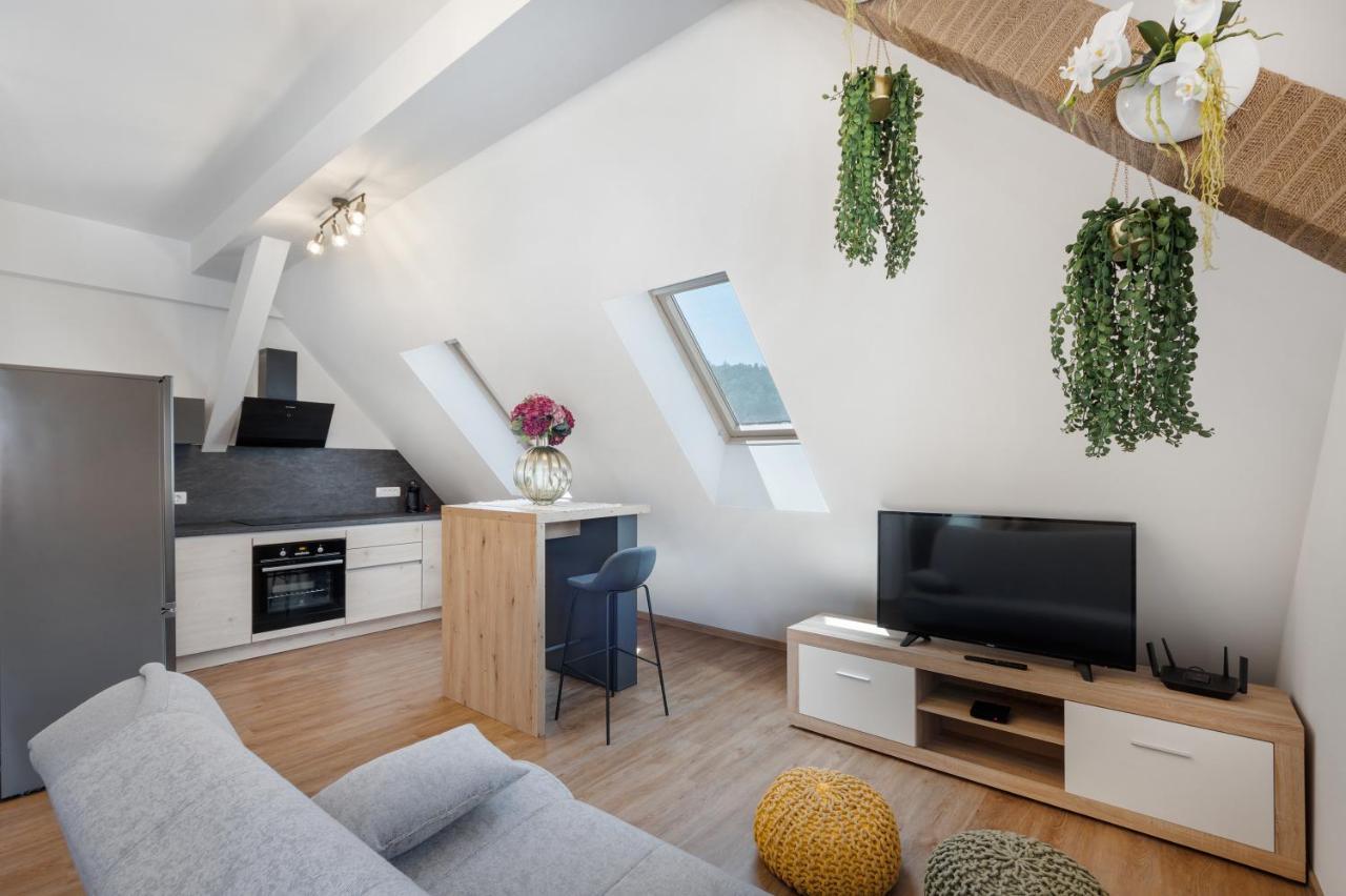 Smart Apartment Ljubljana Spodnja Siska エクステリア 写真